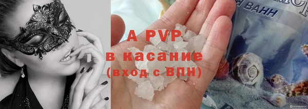 ешки Белокуриха