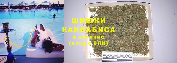 ПСИЛОЦИБИНОВЫЕ ГРИБЫ Белоозёрский